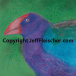 Takahe