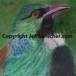 Tui
